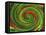 Spiralicious-Herb Dickinson-Framed Premier Image Canvas