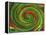 Spiralicious-Herb Dickinson-Framed Premier Image Canvas