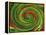 Spiralicious-Herb Dickinson-Framed Premier Image Canvas