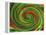 Spiralicious-Herb Dickinson-Framed Premier Image Canvas