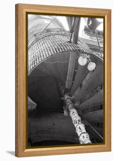 Spiraling-Evan Morris Cohen-Framed Premier Image Canvas