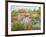 Spires of Kniphofia and Great Dixter-Timothy Easton-Framed Giclee Print