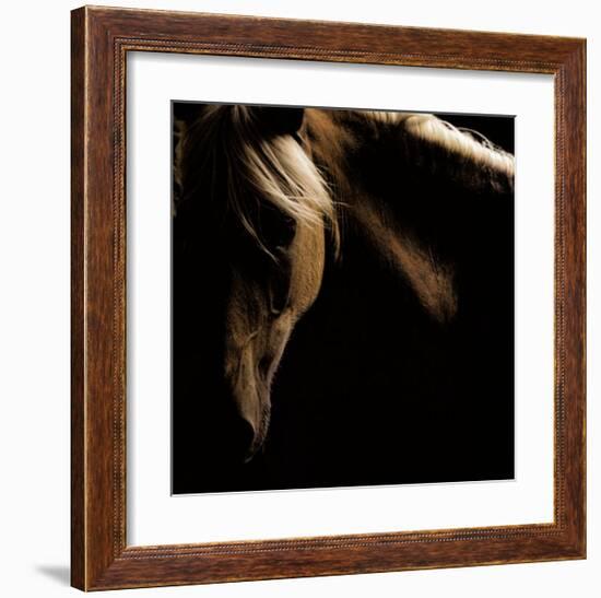 Spirit Horse-Tony Stromberg-Framed Art Print