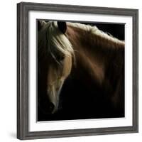 Spirit Horse-Tony Stromberg-Framed Photographic Print