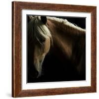 Spirit Horse-Tony Stromberg-Framed Photographic Print
