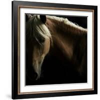 Spirit Horse-Tony Stromberg-Framed Photographic Print