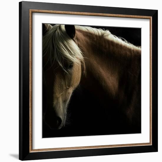 Spirit Horse-Tony Stromberg-Framed Photographic Print