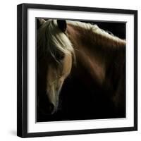 Spirit Horse-Tony Stromberg-Framed Photographic Print