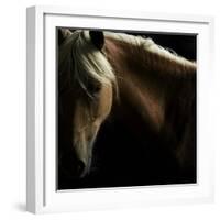 Spirit Horse-Tony Stromberg-Framed Photographic Print