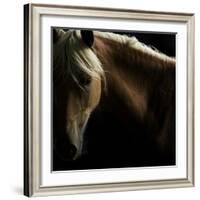 Spirit Horse-Tony Stromberg-Framed Photographic Print