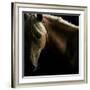 Spirit Horse-Tony Stromberg-Framed Photographic Print
