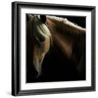 Spirit Horse-Tony Stromberg-Framed Photographic Print