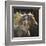 Spirit Horse-Carolyne Hawley-Framed Art Print