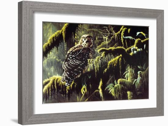 Spirit of Ancient Forests - Spotted Owl-Wilhelm Goebel-Framed Giclee Print