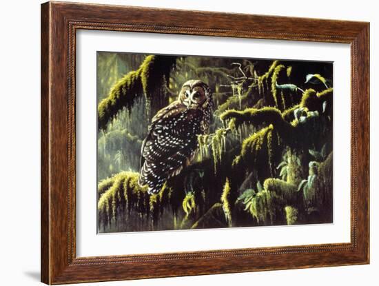 Spirit of Ancient Forests - Spotted Owl-Wilhelm Goebel-Framed Giclee Print