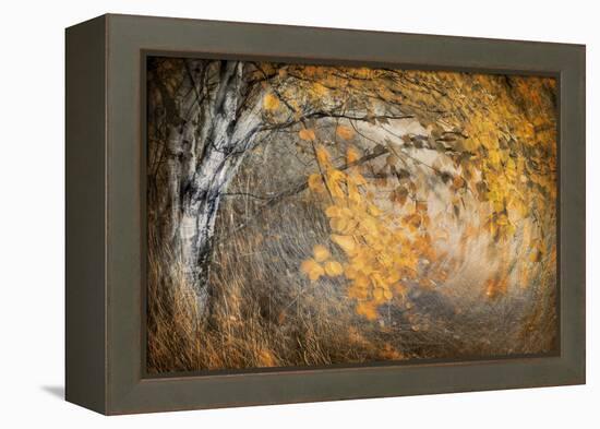 Spirit of Autumn-Ursula Abresch-Framed Premier Image Canvas
