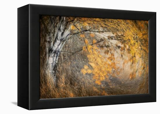 Spirit of Autumn-Ursula Abresch-Framed Premier Image Canvas