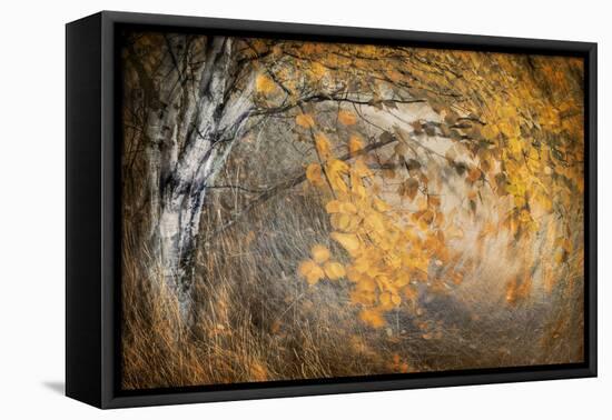 Spirit of Autumn-Ursula Abresch-Framed Premier Image Canvas