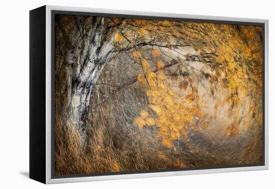 Spirit of Autumn-Ursula Abresch-Framed Premier Image Canvas