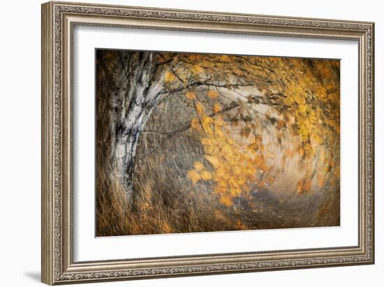 Spirit of Autumn-Ursula Abresch-Framed Photographic Print