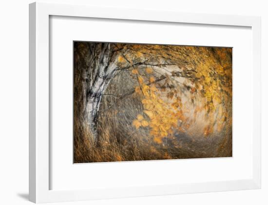 Spirit of Autumn-Ursula Abresch-Framed Photographic Print