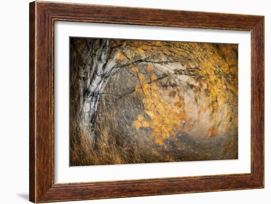 Spirit of Autumn-Ursula Abresch-Framed Photographic Print