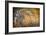 Spirit of Autumn-Ursula Abresch-Framed Photographic Print