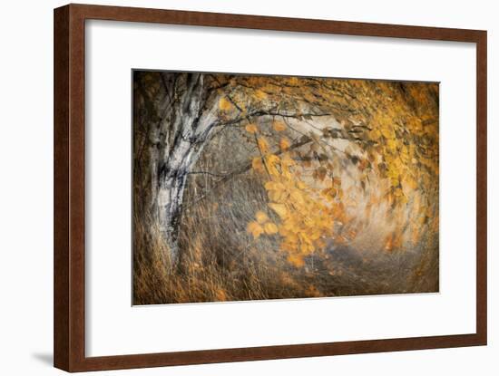 Spirit of Autumn-Ursula Abresch-Framed Photographic Print