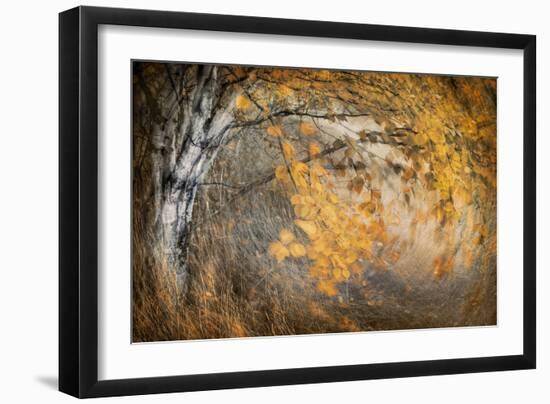 Spirit of Autumn-Ursula Abresch-Framed Photographic Print