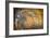 Spirit of Autumn-Ursula Abresch-Framed Photographic Print