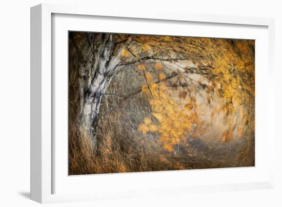 Spirit of Autumn-Ursula Abresch-Framed Photographic Print