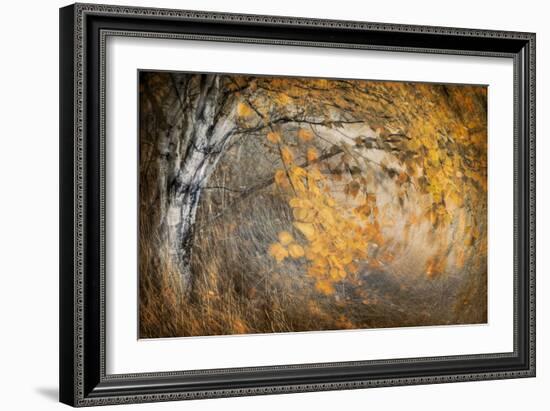 Spirit of Autumn-Ursula Abresch-Framed Photographic Print