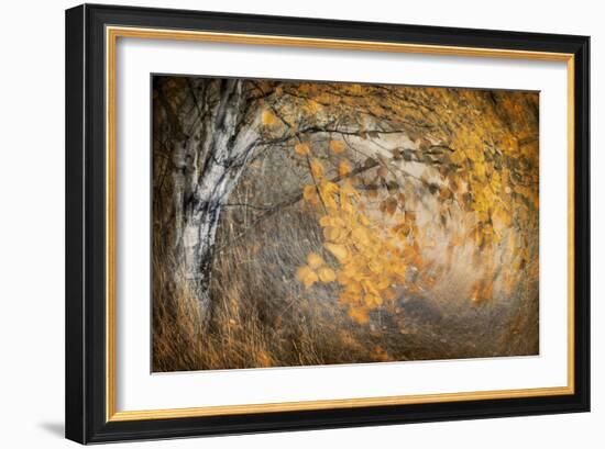 Spirit of Autumn-Ursula Abresch-Framed Photographic Print