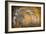 Spirit of Autumn-Ursula Abresch-Framed Photographic Print