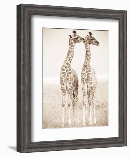 Spirit of Life 1-Frank & Susann Parker-Framed Art Print