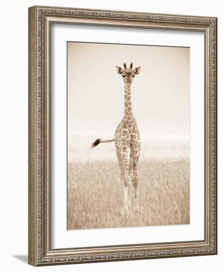 Spirit of Life 2-Frank & Susann Parker-Framed Art Print