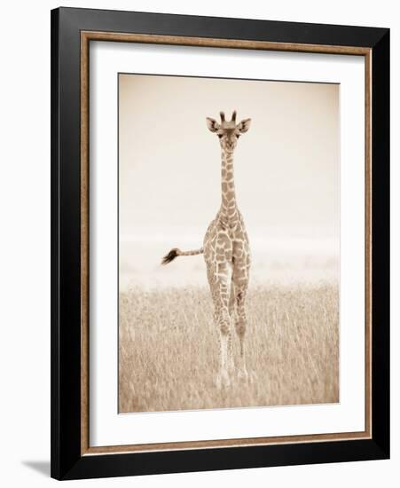 Spirit of Life 2-Frank & Susann Parker-Framed Art Print