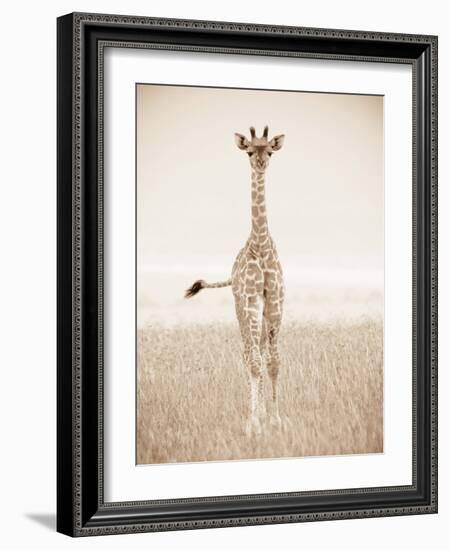 Spirit of Life 2-Frank & Susann Parker-Framed Art Print