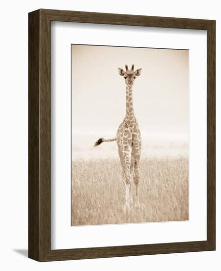 Spirit of Life 2-Frank & Susann Parker-Framed Art Print