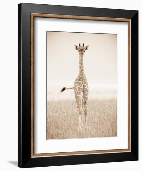 Spirit of Life 2-Frank & Susann Parker-Framed Art Print