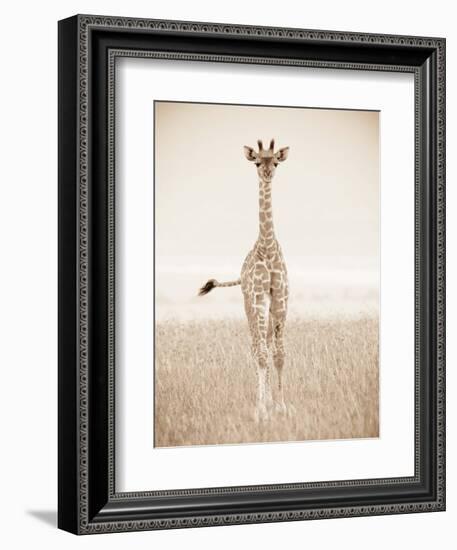 Spirit of Life 2-Frank & Susann Parker-Framed Art Print