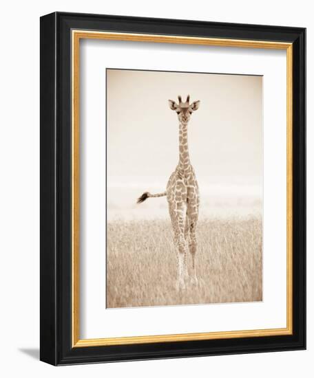 Spirit of Life 2-Frank & Susann Parker-Framed Art Print