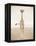 Spirit of Life 2-Frank & Susann Parker-Framed Stretched Canvas