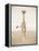 Spirit of Life 2-Frank & Susann Parker-Framed Stretched Canvas