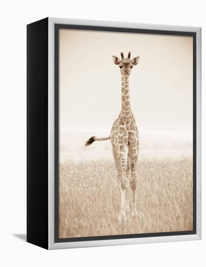 Spirit of Life 2-Frank & Susann Parker-Framed Stretched Canvas