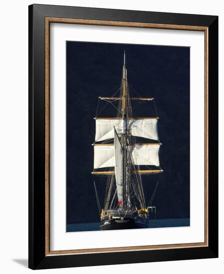 Spirit of New Zealand Tall Ship, Marlborough Sounds, South Island, New Zealand-David Wall-Framed Photographic Print