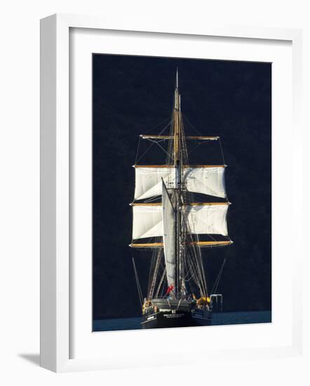 Spirit of New Zealand Tall Ship, Marlborough Sounds, South Island, New Zealand-David Wall-Framed Photographic Print