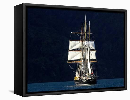 Spirit of New Zealand Tall Ship, Marlborough Sounds, South Island, New Zealand-David Wall-Framed Premier Image Canvas