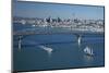 Spirit of New Zealand Tall Ship, Passenger Ferry, Auckland, North Island, New Zealand-David Wall-Mounted Photographic Print