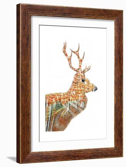 Spirit of the Forest Deer Landscape-Michelle Faber-Framed Giclee Print